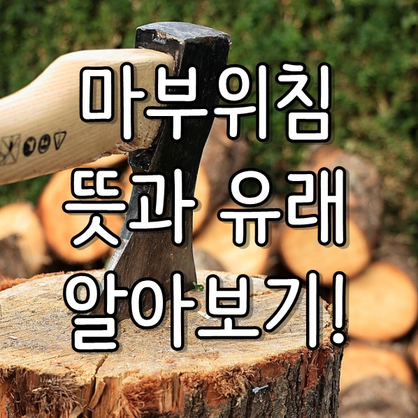 마부위침 뜻과 유래 알아보기!