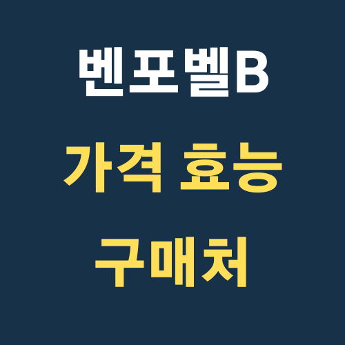 벤포벨B 가격, 효능, 구매처, 주의사항 완벽정리