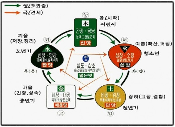 음양 오행 오행 확인 오행 궁합 이란