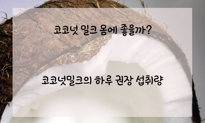 Hola :: 코코넛 밀크 우리 몸에 좋을까?