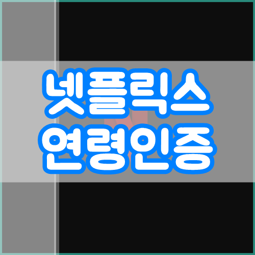 넷플릭스 연령인증 (시청제한 해제)