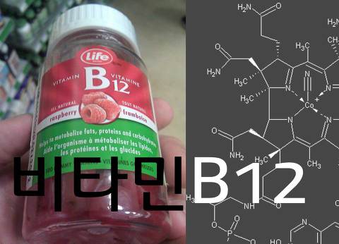 비타민B12 효능, 결핍증상, 과다복용, 부작용, 많은 음식 | 효능백과