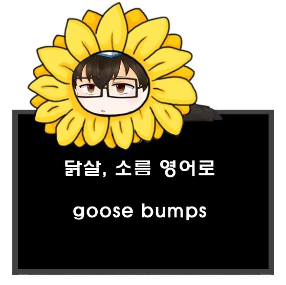 소름, 닭살 영어로. goose bumps, gooseflesh, goose pimples, goose skin.