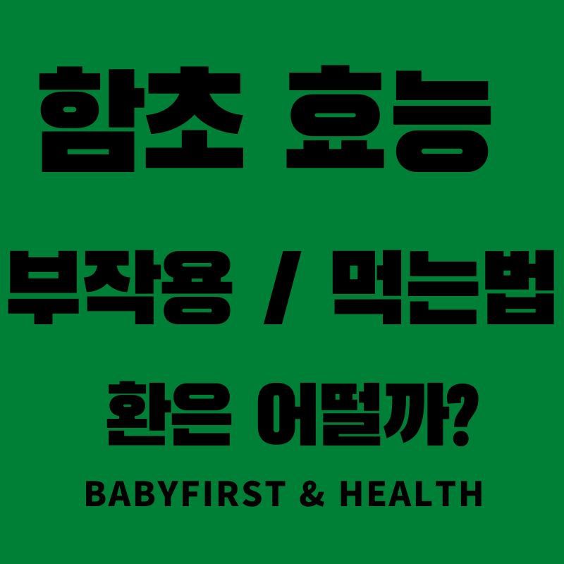 함초 효능 / 부작용 / 먹는법  환은 어떨까? :: BaBy First & Health