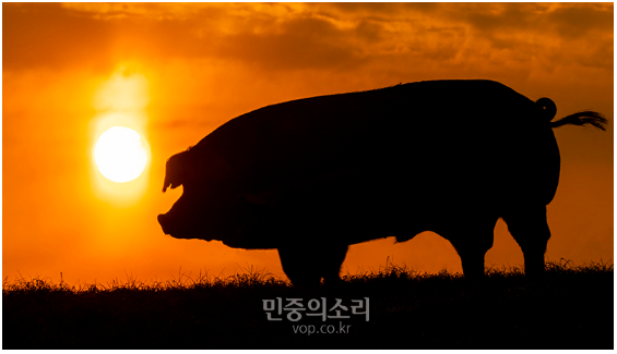 소식 방앗간 :: '오늘의격언' 시작이 반이다 & 임중도원 ...무슨뜻 ?