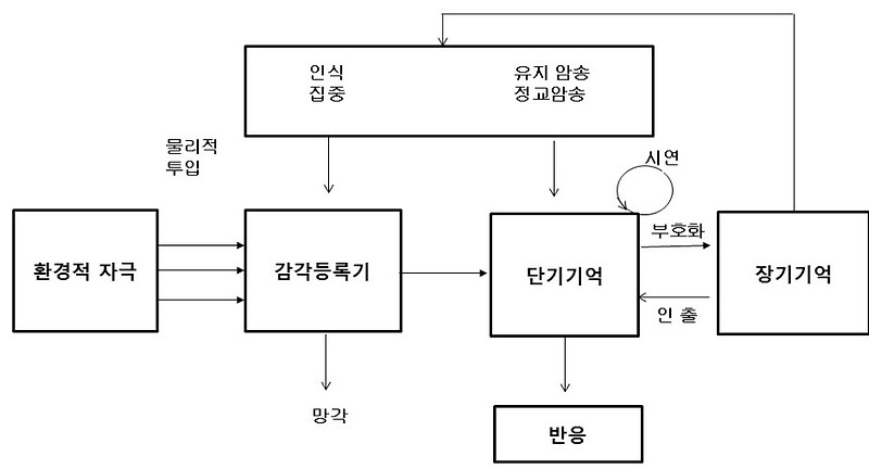 1-2-9. 인지주의 학습이론