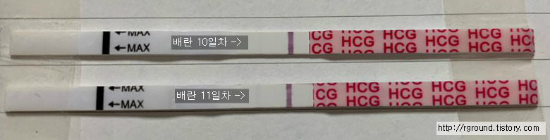 [임준생 일기] 원포임테기 시약선? 초초매직아이 임테기 반응시기 드디어 나에게도?!