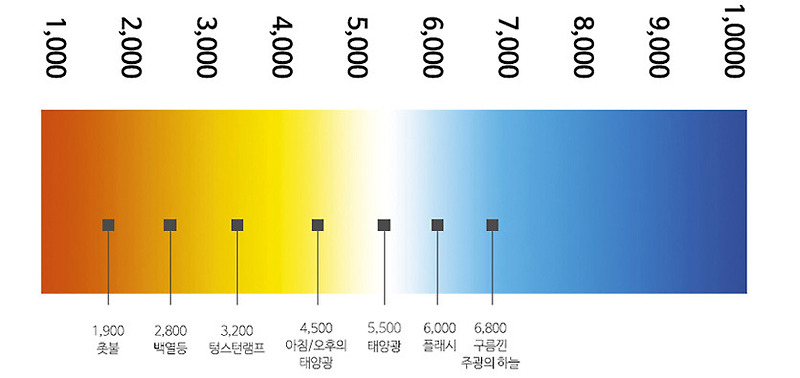 조명 램프의 색온도란 무엇인가? 주광색 전구색 주백색은 무엇이지? 조명색온도 전구색온도 램프색온도 :: 윤씨네조명