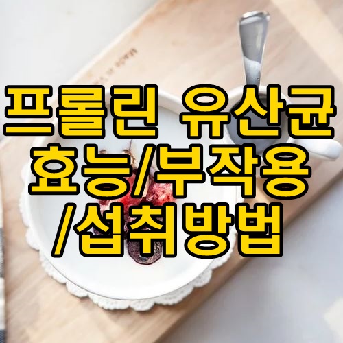 프롤린 유산균 가루 효능 / 부작용 / 섭취방법