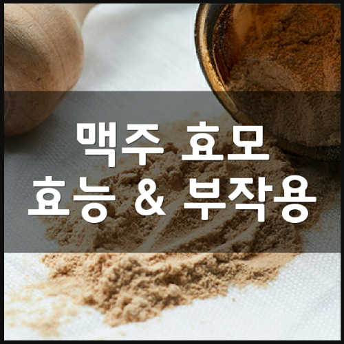 맥주효모의 효능 및 먹는법부터 파는곳 정리