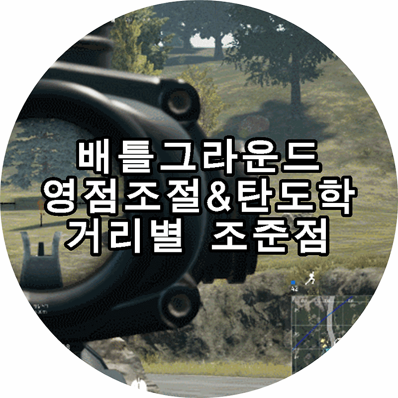 배그 배틀그라운드 영점조절 탄도학 기준 거리별 조준점