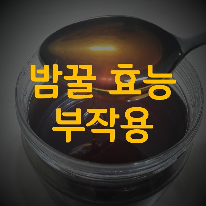 밤꿀 효능 / 부작용 / 먹는법