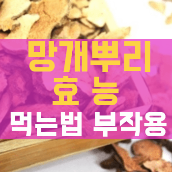 망개뿌리 효능 먹는법