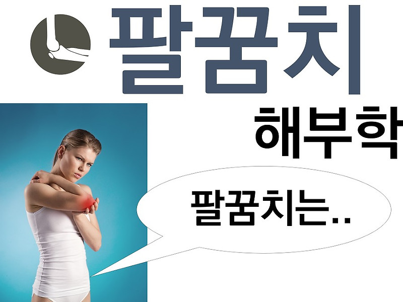 자전거 무릎 발목 통증 pdf