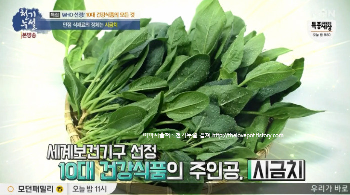 대장건강에 좋은 시금치의 효능과 먹는방법(활용법), 시금치 맑은국 & 시금치 카레 레시피 만드는 법 천기누설 374회  세계10대건강식품의 모든것 8월 2일 방송