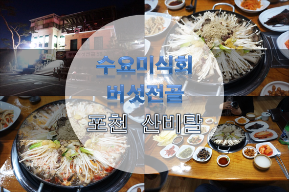 수요미식회 버섯전골 - 포천 맛집 산비탈 순두부