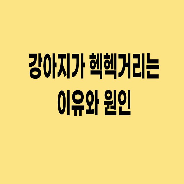 강아지 헥헥거림 개가 헥헥거리는 이유 원인