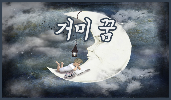 거미 꿈 거미 꿈해몽 죽이는 꿈 잡는 꿈 몸에 붙는 꿈 보는 꿈 큰 거미 꿈 흰 거미 꿈 거미알 꿈