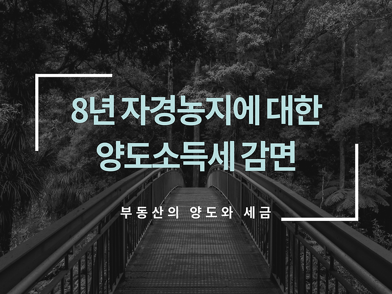 다른 소득을 가진 자가 농지를 직접 경작한 경우 자경농지에 대한 양도소득세를 감면받을 수 있는가? 6