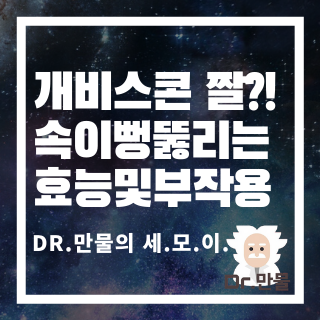 개비스콘 짤처럼 정말 속이 시원~할까? 게비스콘 효능 부작용 먼저 체크하세요!