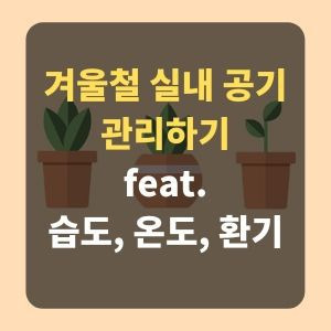 겨울철 쾌적한 실내 공기를 위한 3가지(feat. 적정 습도, 적정 온도, 환기법)