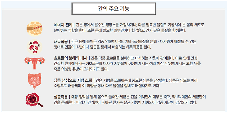 간기능 개선 관리하게 된 이유