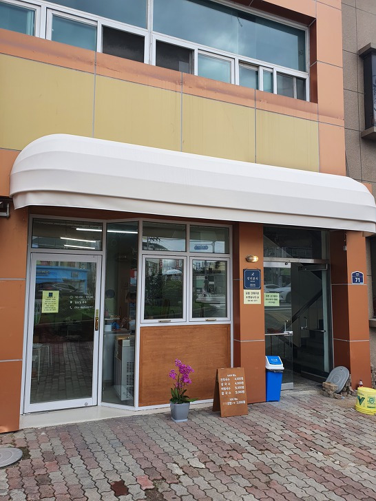 안동 시내 장미분식 잔치국수 김밥