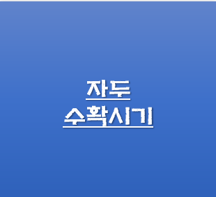 자두 수확시기 종류