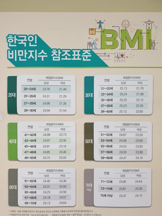 한국인비만지수 Bmi 체질량지수 나이별 정리 - 디자인텐