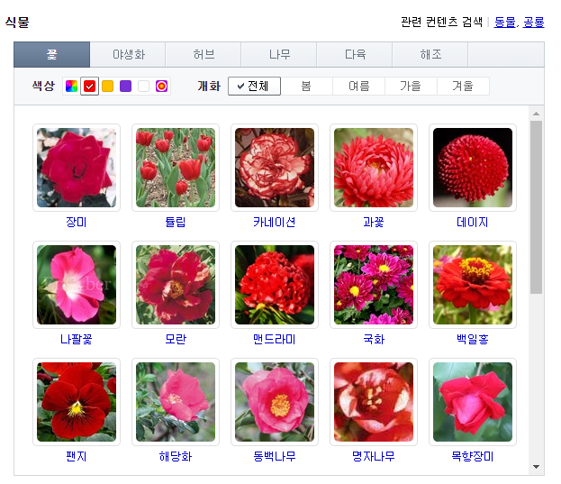 Top 9 꽃 이름 찾기 Top Answer Update