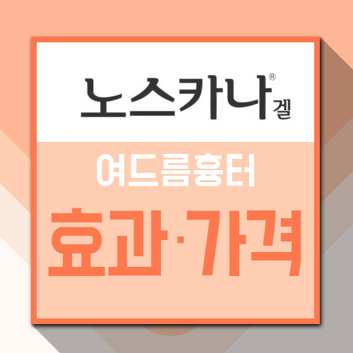 노스카나겔 가격 및 효과 부작용과 꿀팁 공유