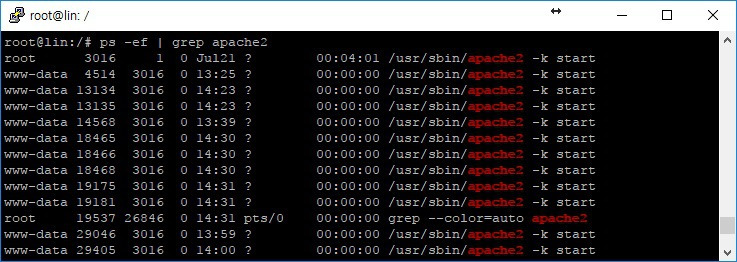 아파치2 버전확인(Apache2 Version) :: 삶의 지식's