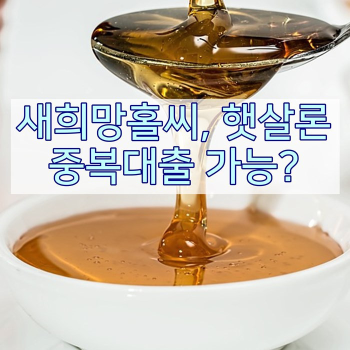 새희망홀씨, 햇살론 중복대출 가능하나?