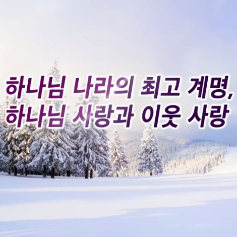 하나님 나라의 최고 계명, 하나님 사랑과 이웃 사랑 (마가복음 12:28~34)