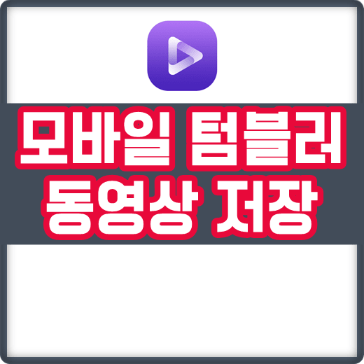 아이폰 모바일 텀블러 동영상 다운로드 방법 어플 사용법