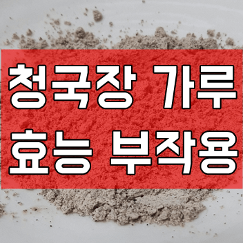 청국장가루 효능 부작용