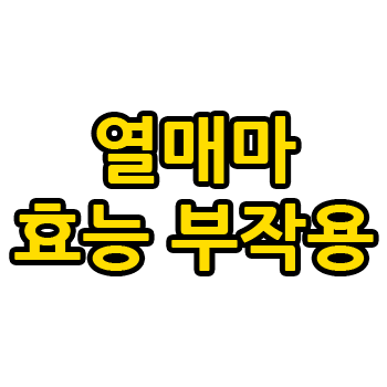 열매마 효능 부작용