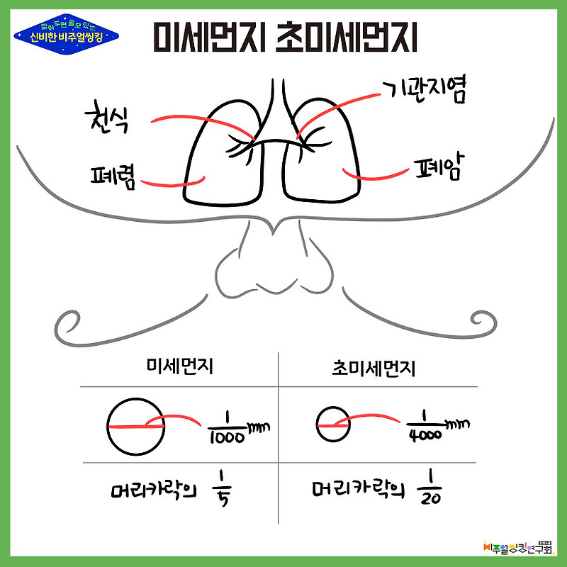 알쓸신비(8)- 오늘은 미세먼지일까? 초미세먼지일까?