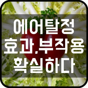 에어탈정 효과 및 부작용 확실하다!!