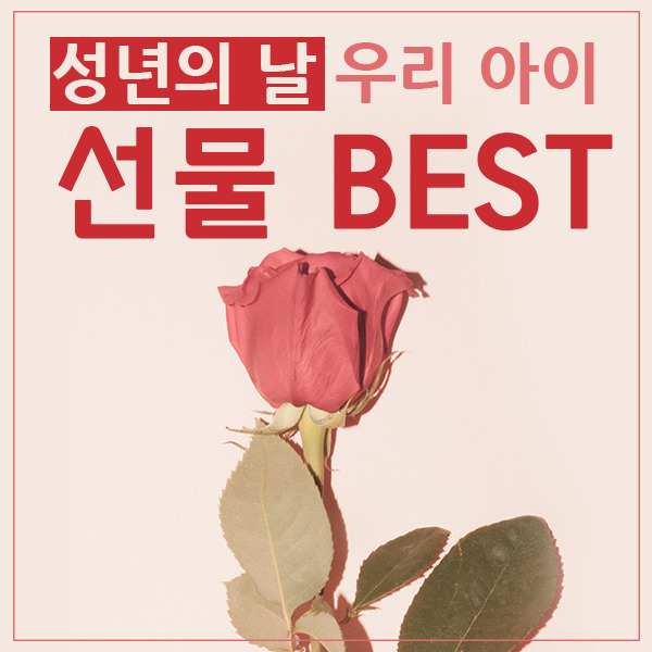 성년의 날 부모가 주는 선물 BEST 최신판