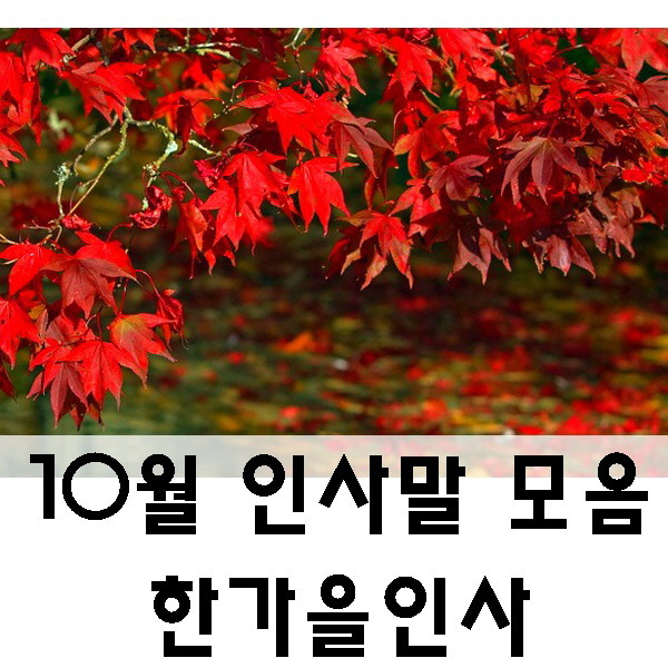 10월 인사말 모음, 한가을 인사 추천