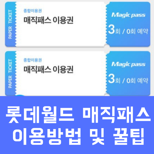 롯데월드 매직패스로 대기시간없이 놀이기구 타기(이용방법+꿀팁)