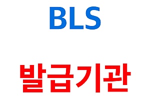 심폐소생술 CPR/BLS 자격 교육은 어디서 받아야 하는가?