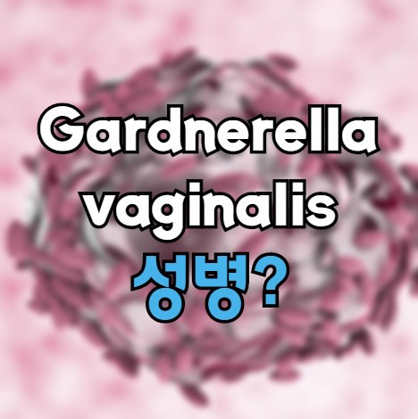 Gardnerella vaginalis 가드넬라 - 합병증O 성병X