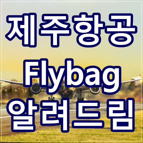 제주항공 flybag 알려드림 !