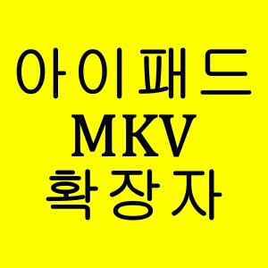 아이패드의 MKV 비디오를 보는 방법