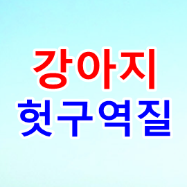 강아지 헛구역질 원인 몇 가지 - 손실보전금 확인지급 신청