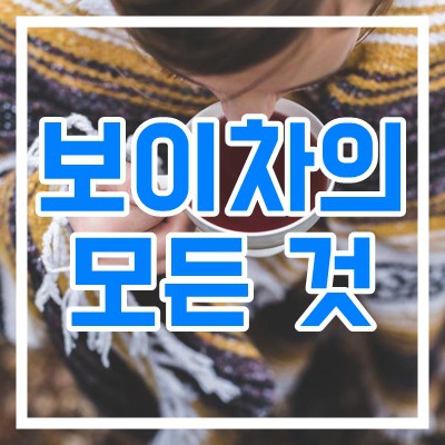 보이차 카페인, 부작용, 하루섭취량 총정리