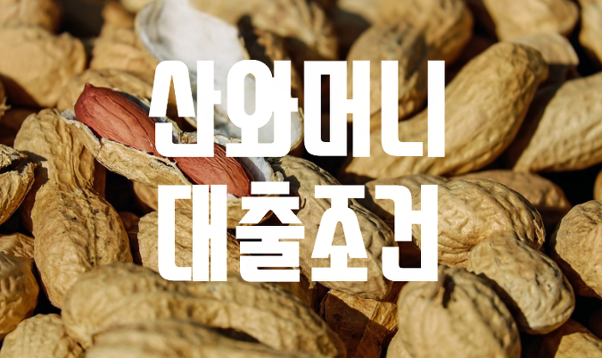 산와머니 대출조건 상품별 총정리