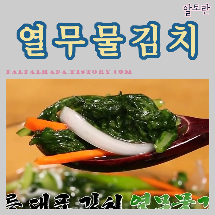 달보드레 :: 알토란 열무 물김치 담그는법 임성근 황금레시피 정리